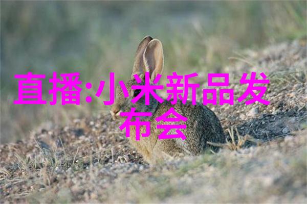 高效杀菌新技术探索等离子灭菌器的应用与未来发展