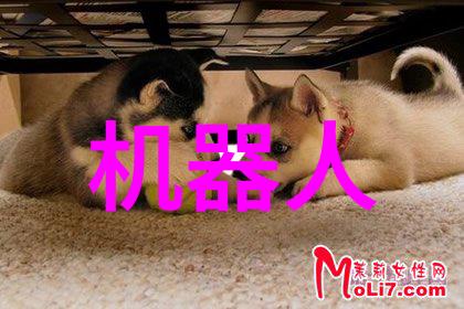 一二三四五类水质标准解析保障饮用水安全的五大要素