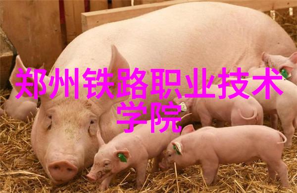 工业废气的危害雾霾之下的生存困境