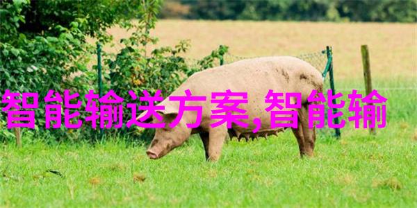 螺旋输送机的疯狂旋转从零到英雄的运输奇迹
