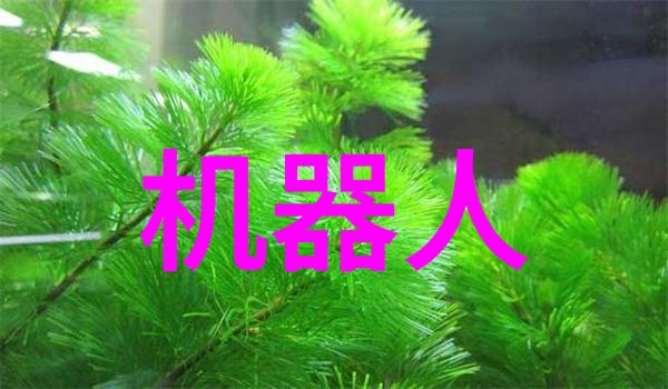 华夏财经宝库探索中央财经大学的学术辉煌