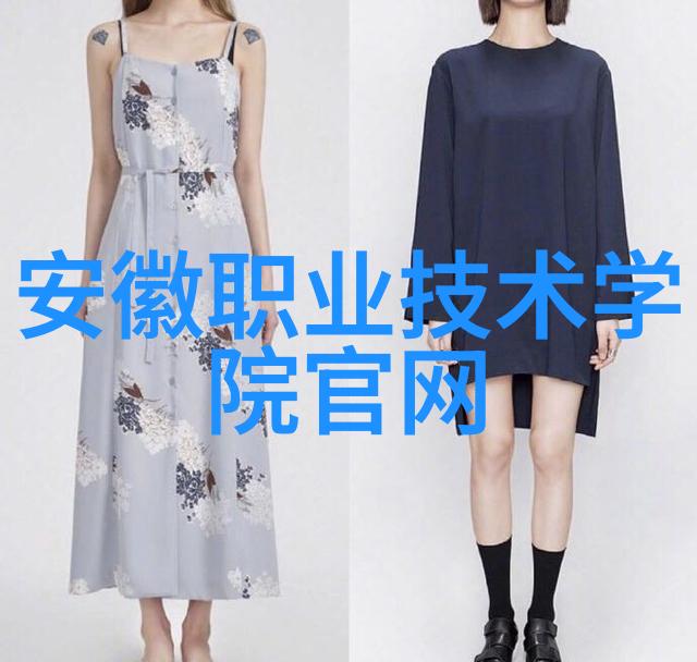 数据驱动的智能家居梦深圳信息职业技术学院青年下乡计划探究