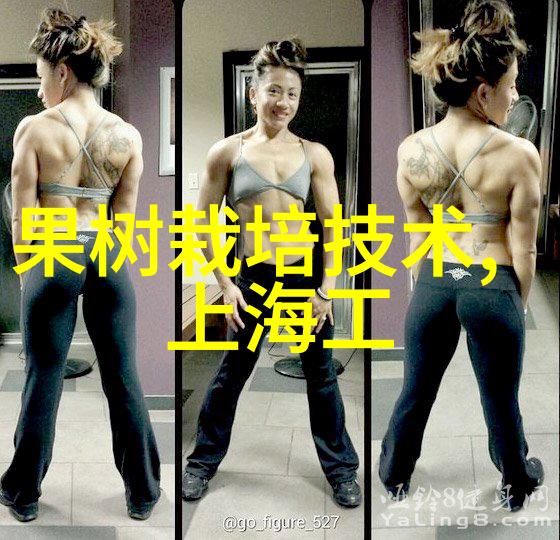 智能输送方案-探讨自动化与智能化在物流行业中的应用