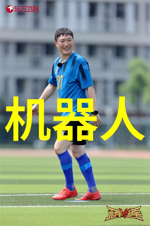 uds-11a在食品加工行业中的重要性及其优化策略