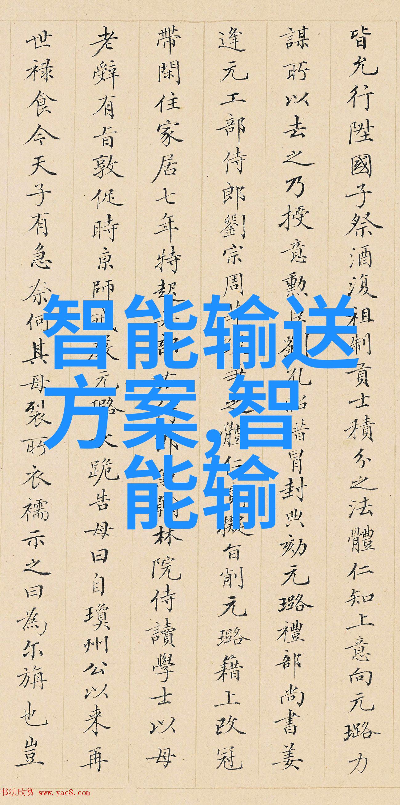 铸铁焚烧铸铁换热器清洗大师