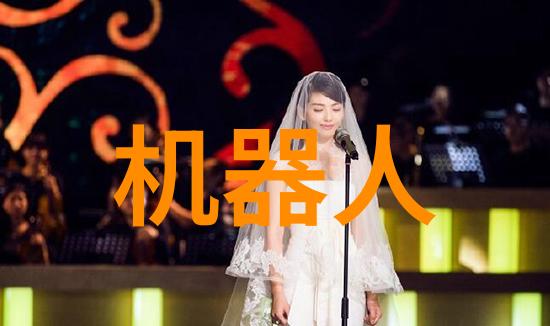 项目进展报告 功能强化与数据分析
