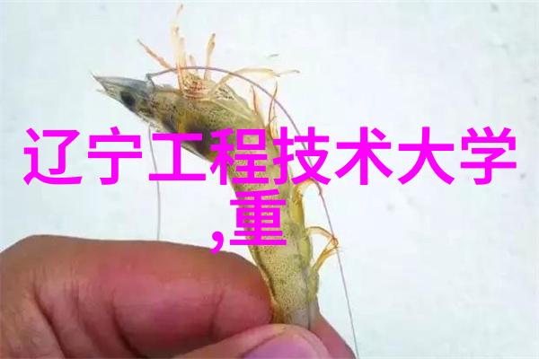芯片的秘密生活它们是怎样在CPU心脏中跳舞的