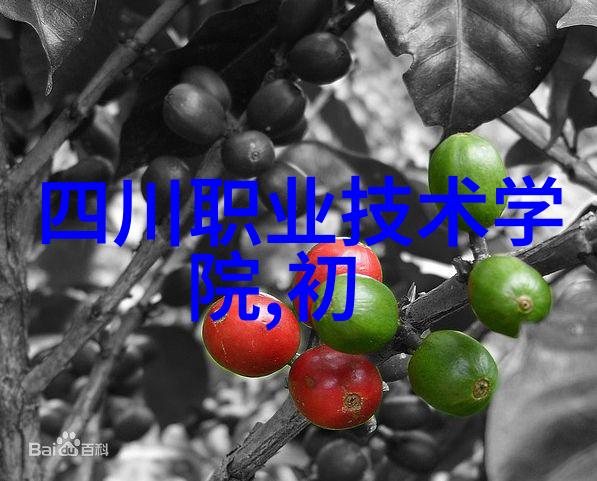 废气处理系统工艺流程图高效除尘技术与环境保护合一