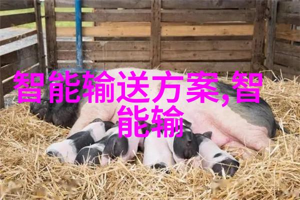 流光回溯不锈钢的重铸与价值之歌