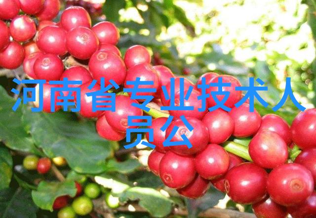 新冠疫情下的奇迹药物抗击病毒的三大英雄