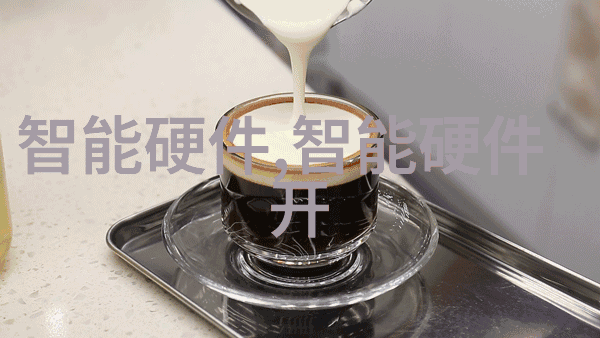 中國當中的最大的晶圓代工廠是誰它提供什麼樣的服務
