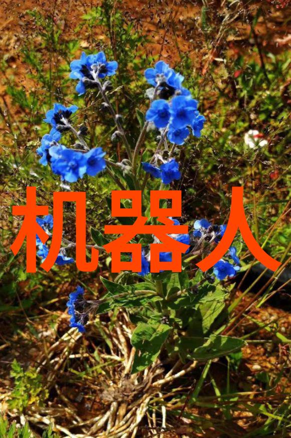 铁路职业技术学院我在铁轨上的学术旅程从学生到专业人士