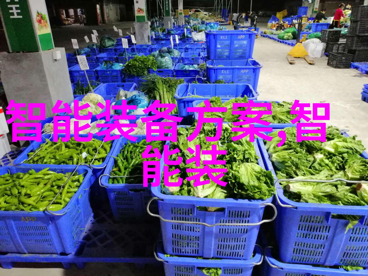 每月工作总结报告回顾进展规划未来
