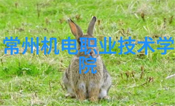 立昂技术的客户满意度我们如何赢得客户的信任