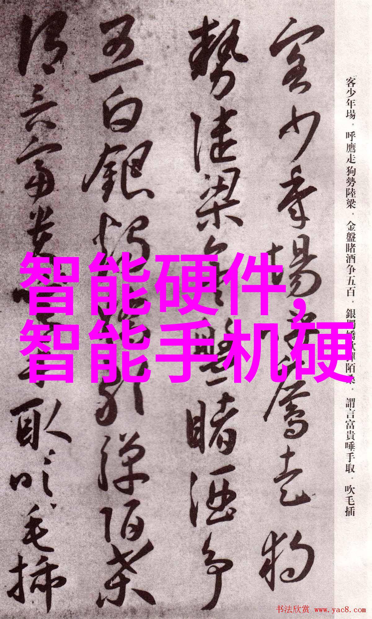 机器人我们家的智能小助手