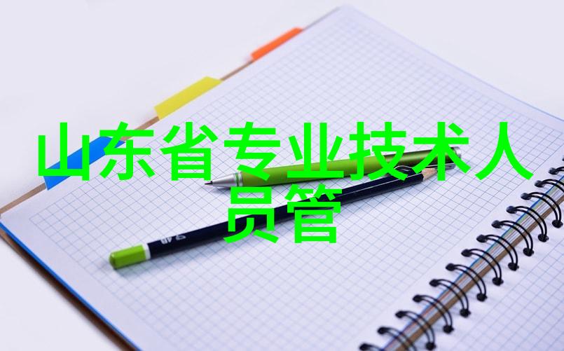 从卓越到拙劣国家职业人才测评中心的双面世界
