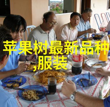 大学生社会实践报告模板指导与撰写的全程指南