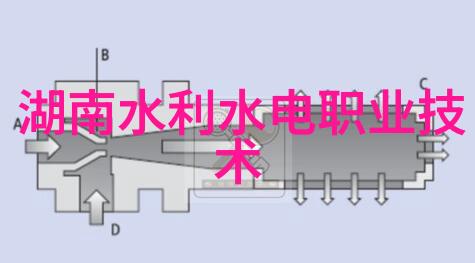 韩国年轻保姆的生活秘密如何在忙碌中保持活力与微笑