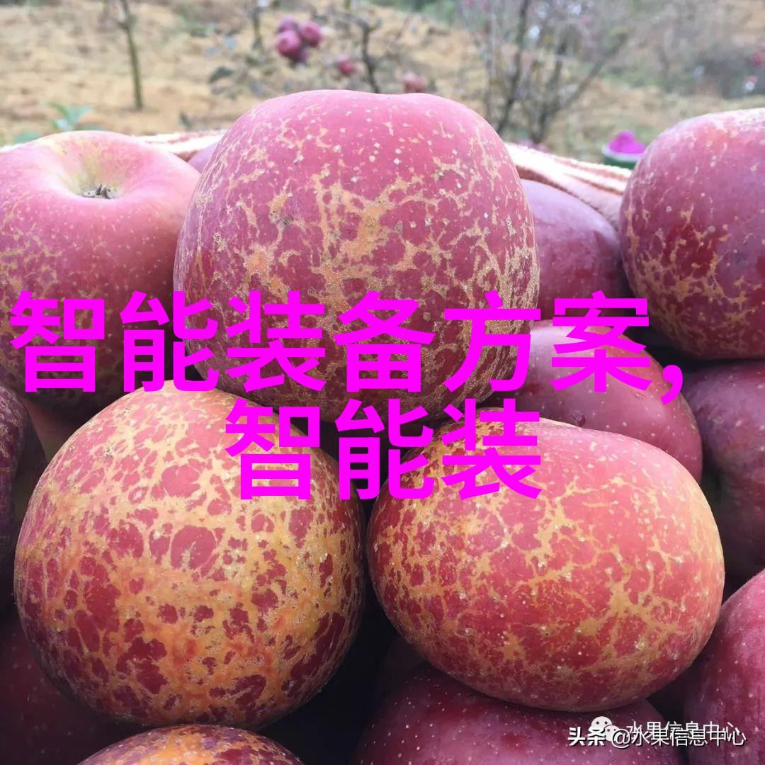 立项前的可研报告探索与创新融合的奥秘
