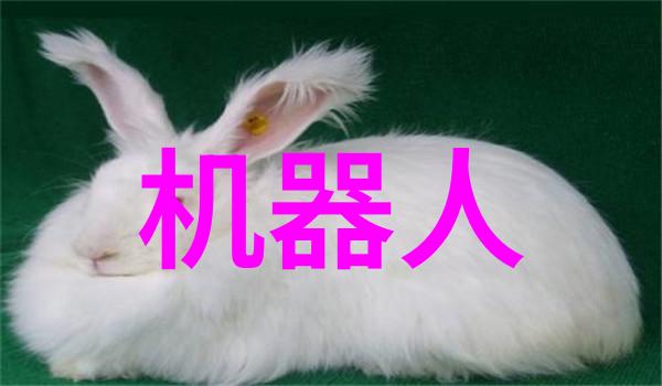 北森人才测评系统高分秘诀金达飓风散热机箱与多显卡骨灰平台并行速测对决