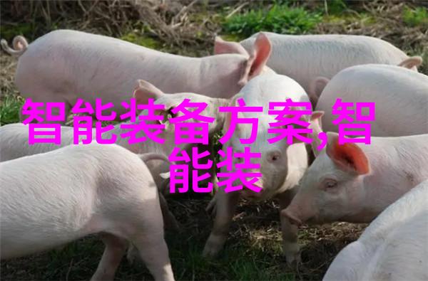 餐桌上的魔法师油水分离的秘密武器