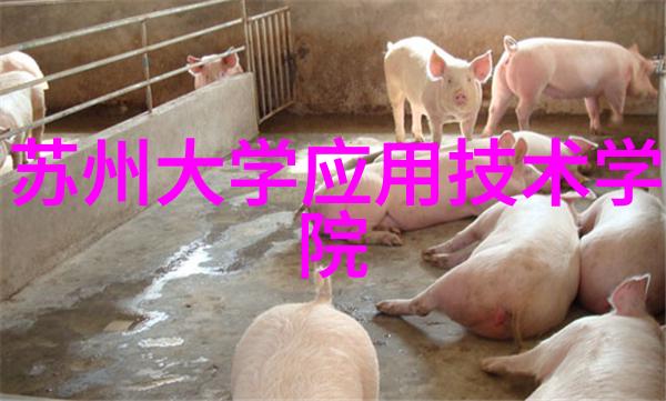 夏普AQUOS zero2全球首款240Hz刷新率智能手机发布