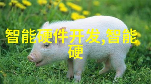 多功能流化床技术的创新应用与未来发展前景