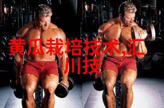 超大规模净水系统设备升级推动饮用水安全新篇章