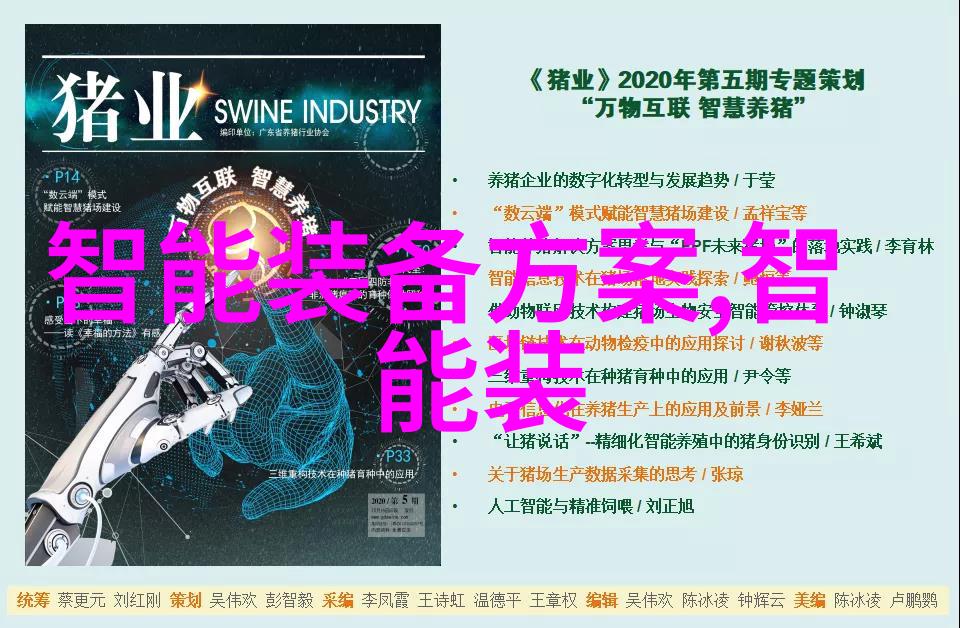 在编制审计报告时专业人士需要遵循哪些基本原则和标准