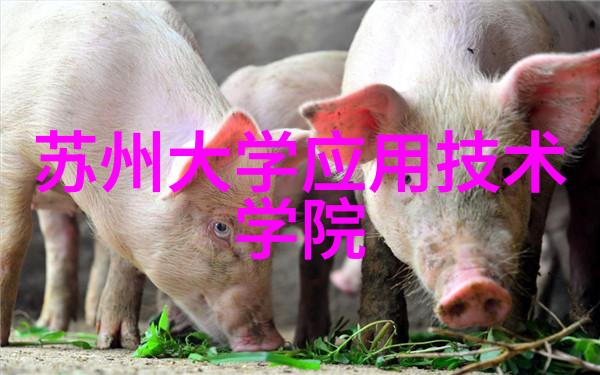 往复泵的节奏理解和应用这一关键设备在工业中的角色