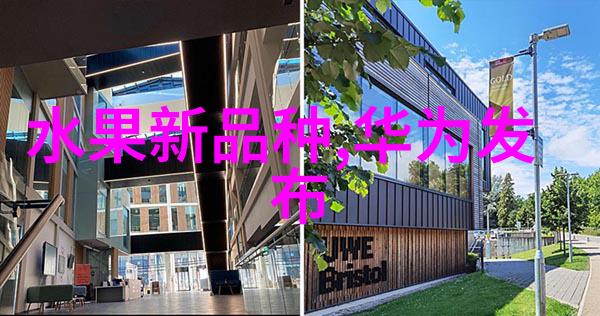 智能输送系统实时动态监控与优化