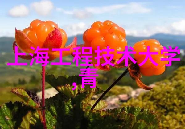 不锈钢板的价格探秘一吨多少钱