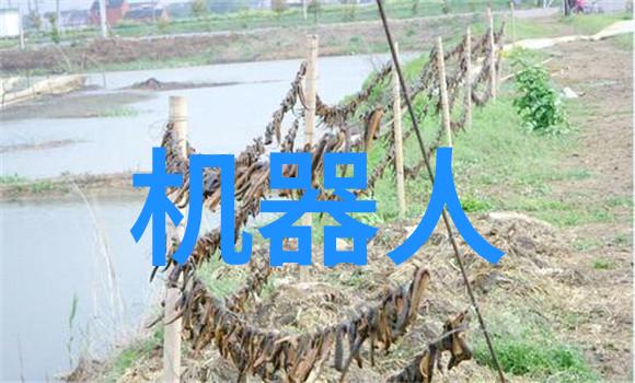 如何确保工业废气净化器的长期稳定运行