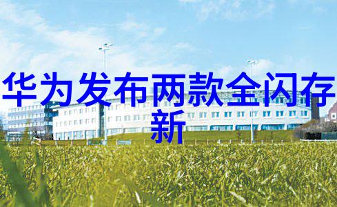 揭秘征信报告信用评分黑名单与贷款审批的关键解析