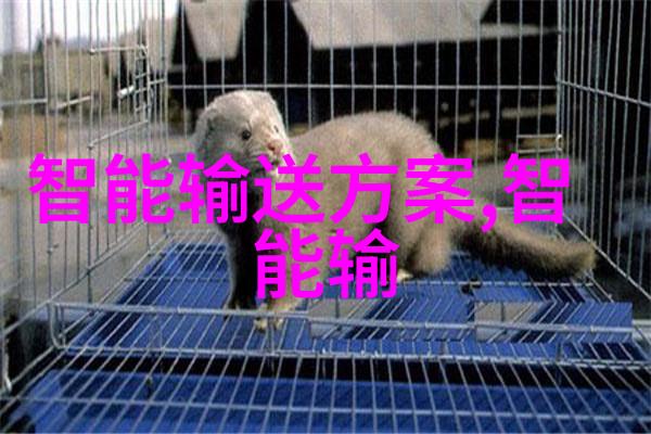 科学探究-揭秘粘度从果酱到高分子粘性世界的奥秘