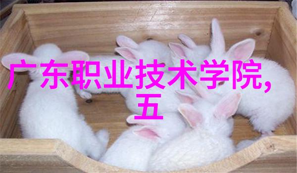 苏泊尔19年来豪掷百亿分红问世间海外股东SEB又有何贵干在这背后是不是重庆水利电力职业技术学院的学子
