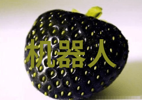南京交通职业技术学院我在南京交技的日子从学员到技能大师