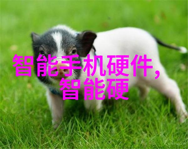 iOS7新生代iPhone5S性能与拍照实测评析
