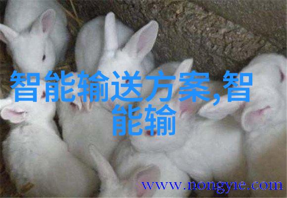 HDPE排水管配件图解指南