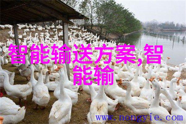 PE法兰接头与PE管连接的优点有哪些