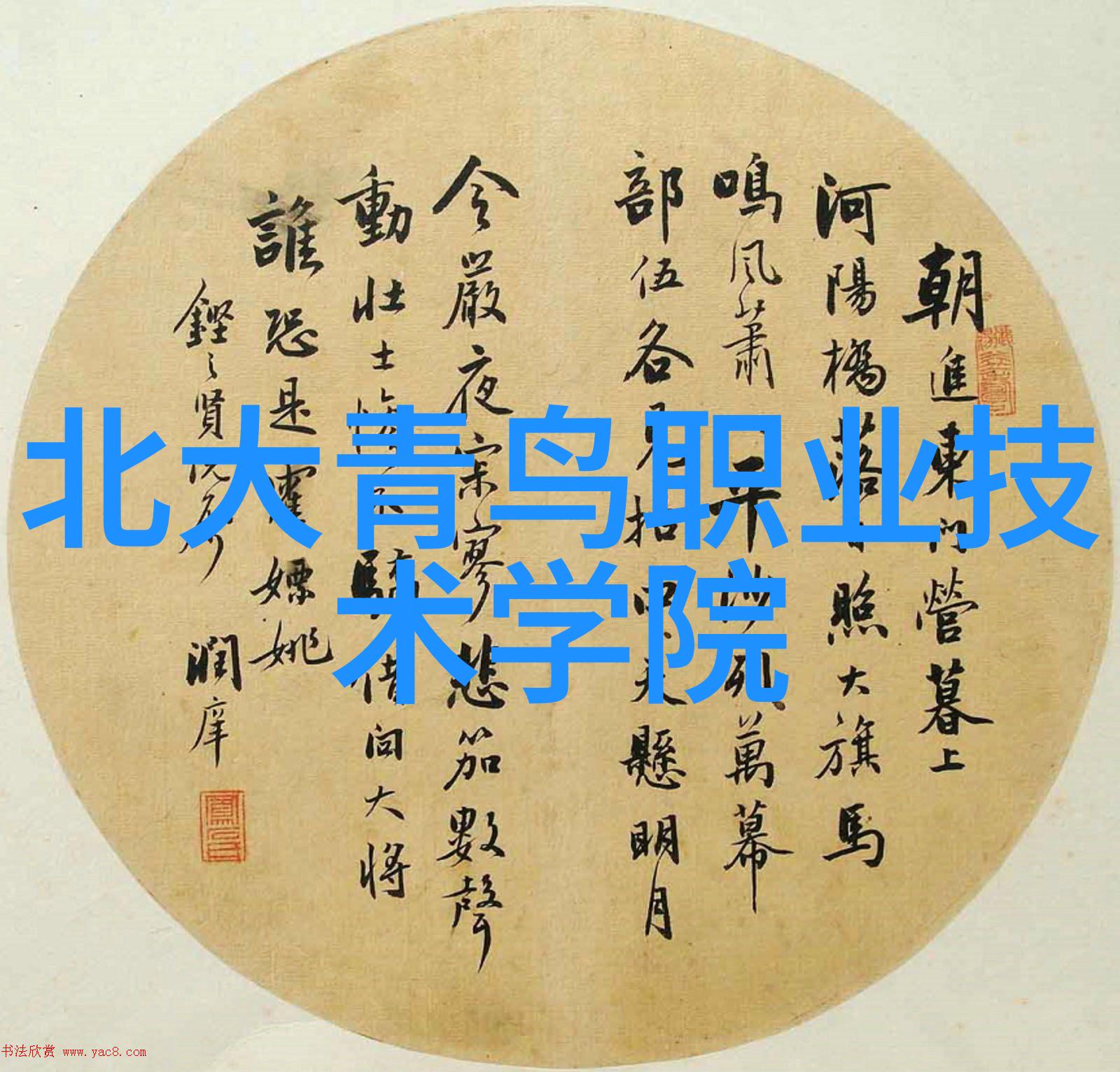 轻巧便携智能集成深度探究可穿戴设备的特征与未来趋势