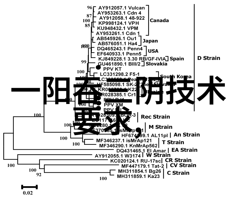 不锈钢丝网填料参数配置与应用指导