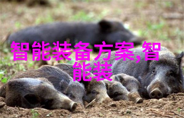 不锈钢加工厂需要哪些基本设备和工具
