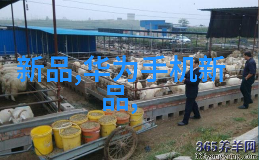 药典筛破三相电的坚壁多功能粉碎机如同神奇的手指轻触即破