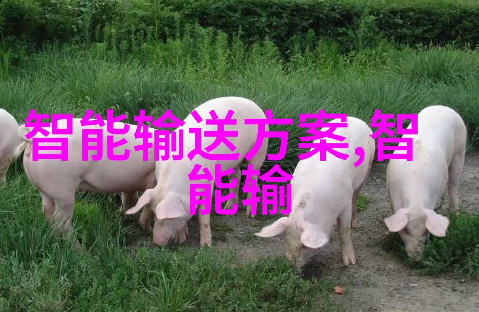 提升职业技能的途径