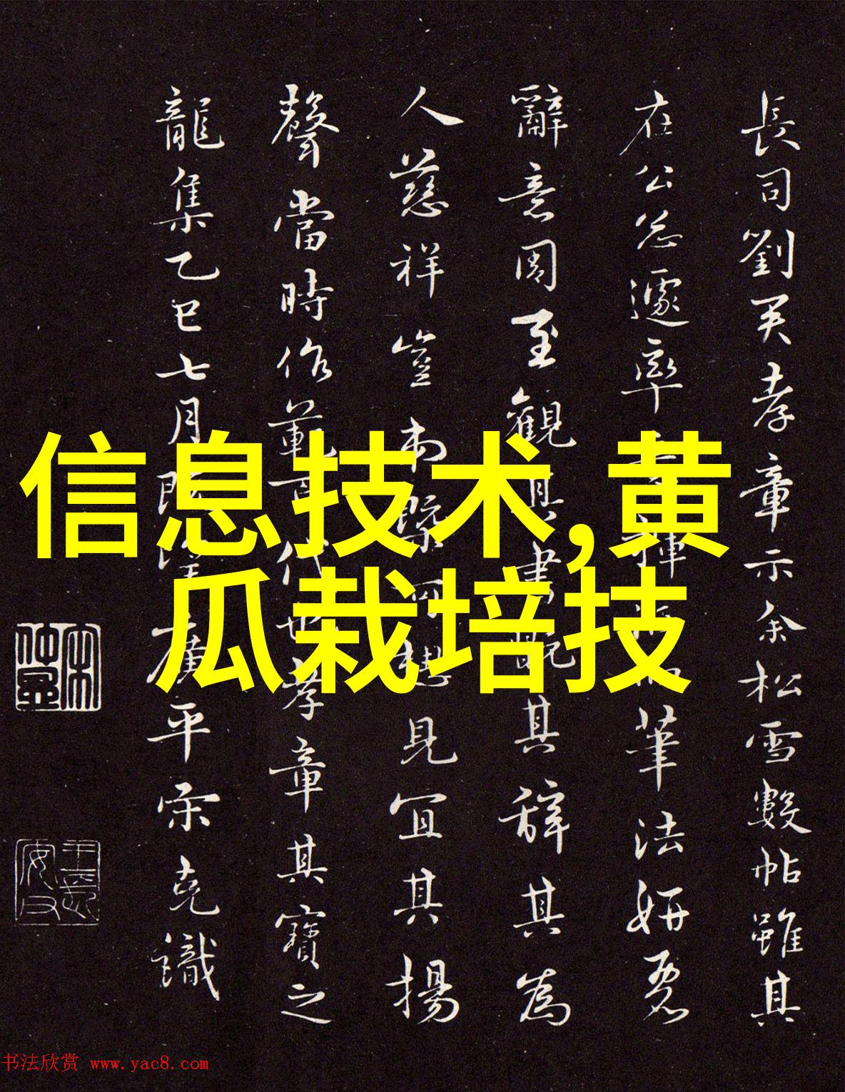 剁手必备切制技巧与小贴士的艺术探索