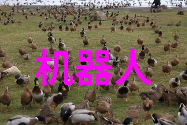 专业技术资格证书有哪些种类