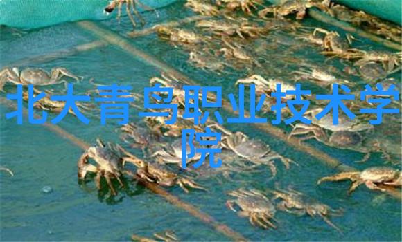 工业级900系列波纹管价格明细表