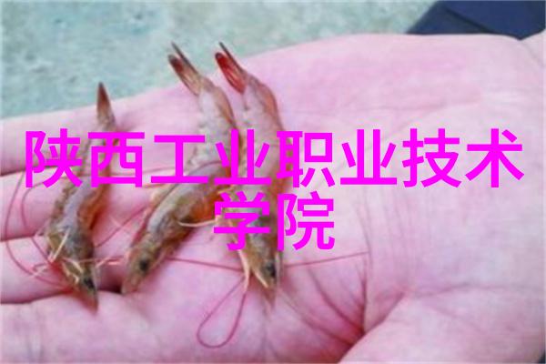 机器人革命智能科技的无限可能