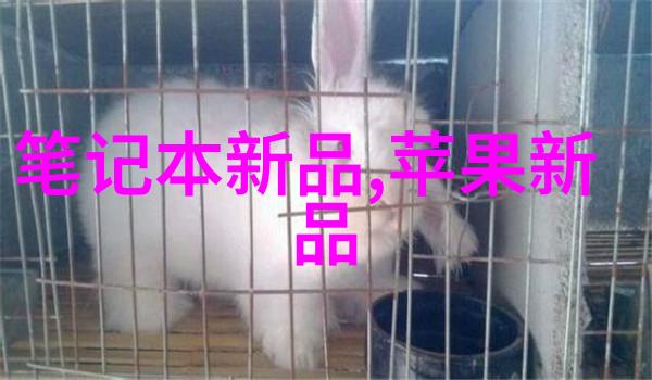 数字媒体技术深入探究未来科技的关键领域